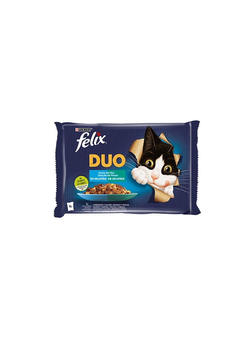 FELIX DUO PEIXES  4 85 GR