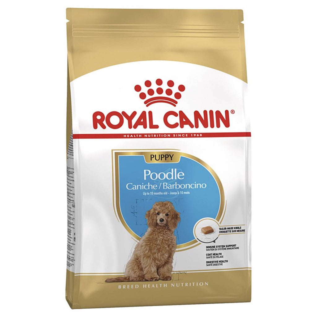 BHN POODLE PUPPY 3 KG.jpg