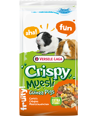 Crispy Muesli Guinea Pig.png
