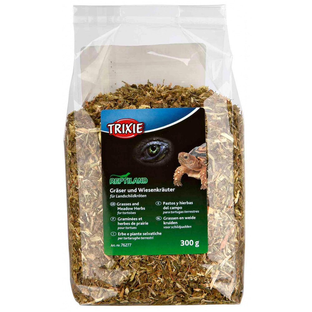 ERVA FENO TARTARUGA TERRESTRE 300 GR.jpg