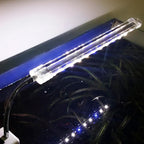 EXP7896.jpg-1032x1032.jpg