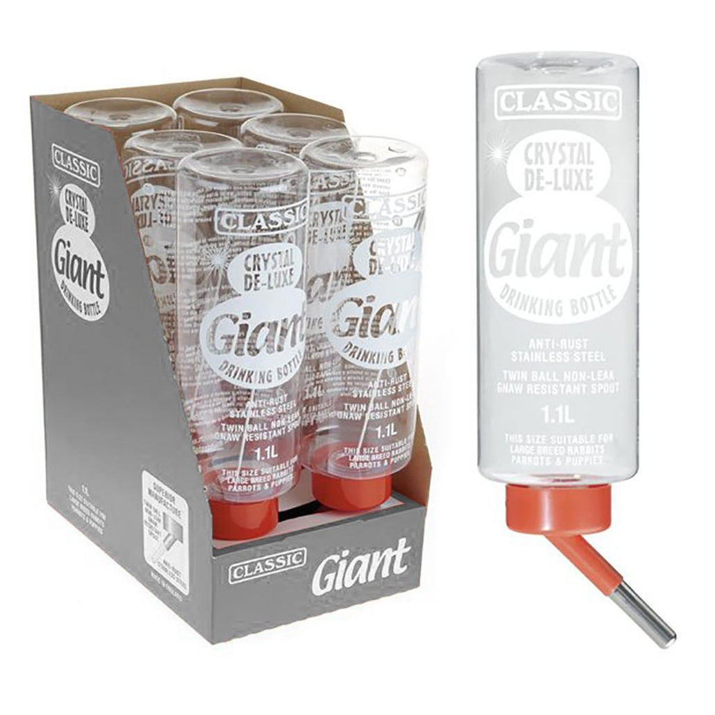 EXR30581.jpg-1032x1032.jpg