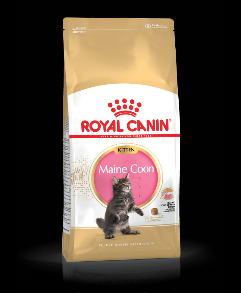 FBN KITTEN MAIN COON 4 KG.jpg