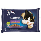 FELIX FANTASTIC FRG_AT_SALM_VCA 4x85 GR.jpg