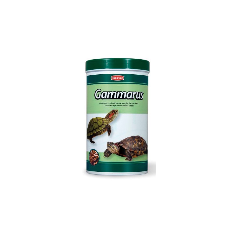 Gammarus P,Tartaruga 30g.jpg