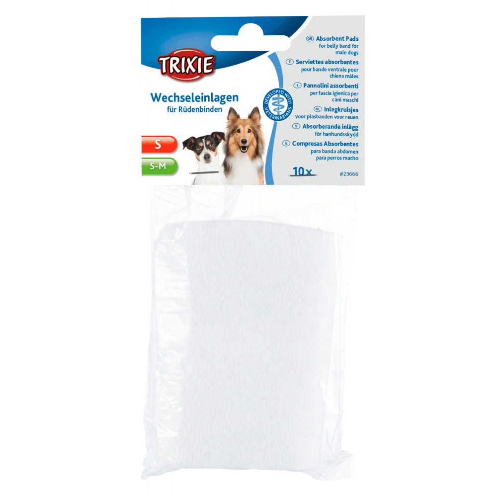 Pensos Absorventes L-XL-10U.jpg