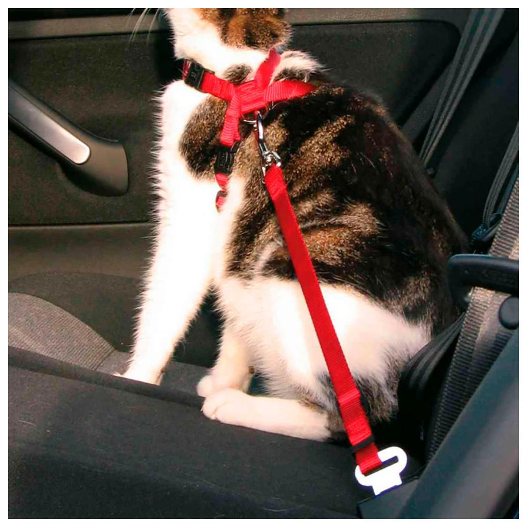 PEITORAL SEGURANÇA AUTOMOVEL P/GATOS