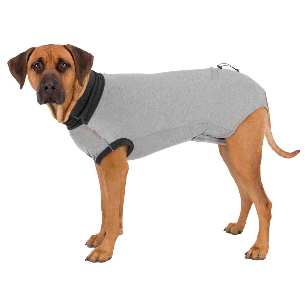 Trixie Body Proteçao Para Cao  XS-25 cm