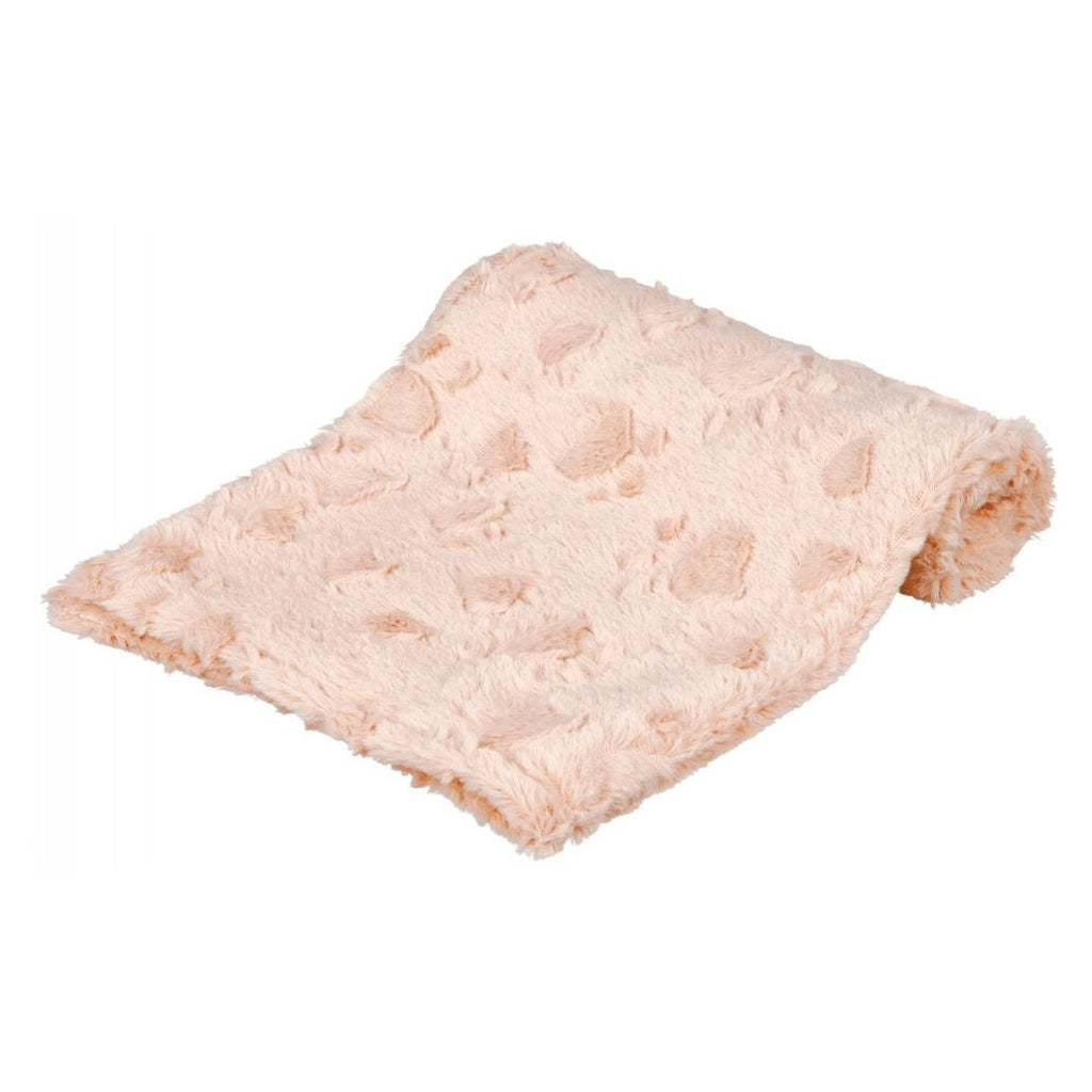 TX37163.jpg-1032x1032.jpg