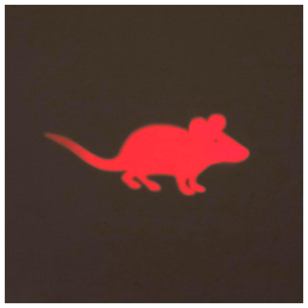 Apontador Led "Catch The Light Ratinho"