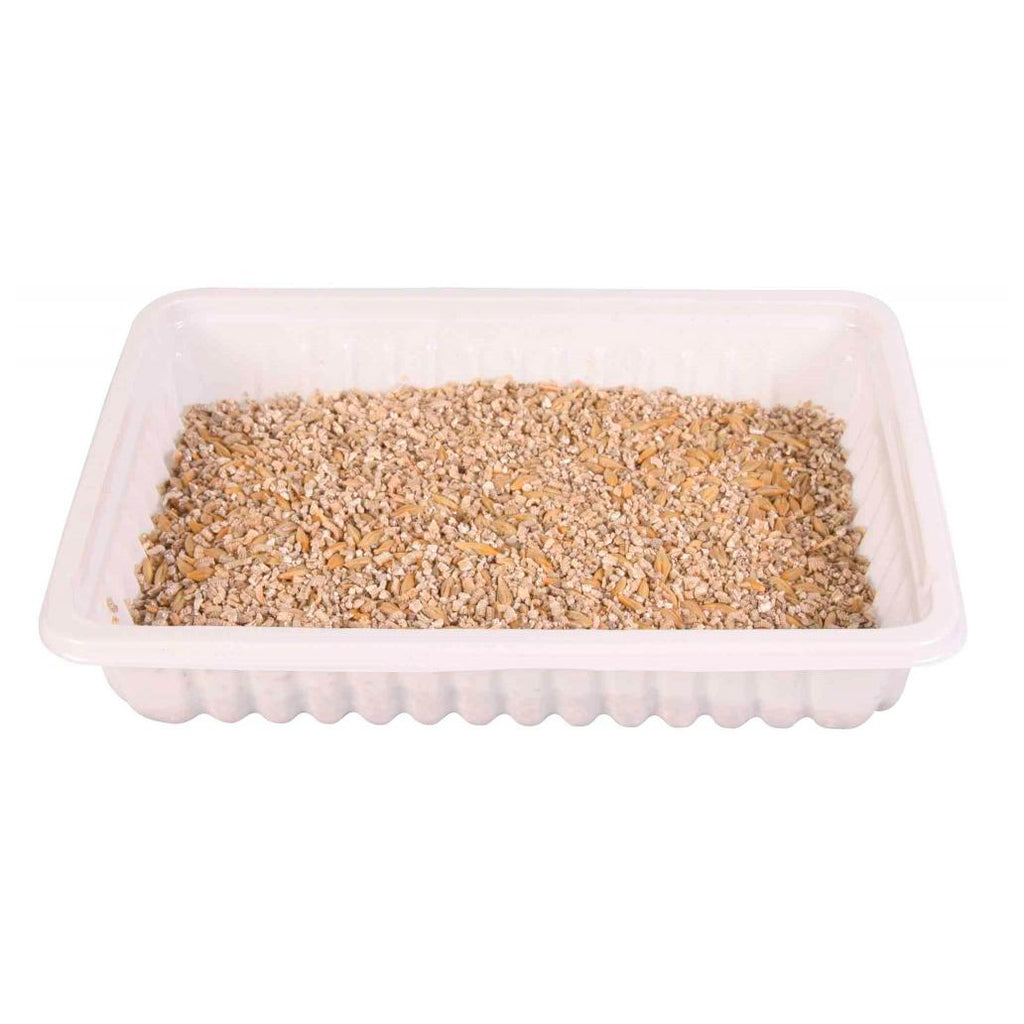 Erva Gateira Tenra Tabuleiro 100Gr