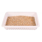Erva Gateira Tenra Tabuleiro 100Gr