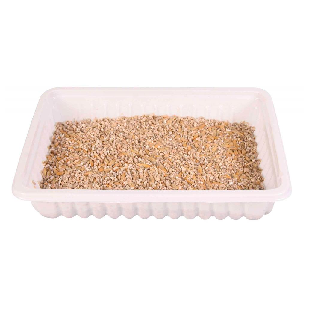 Erva Gateira Tenra Tabuleiro 100Gr