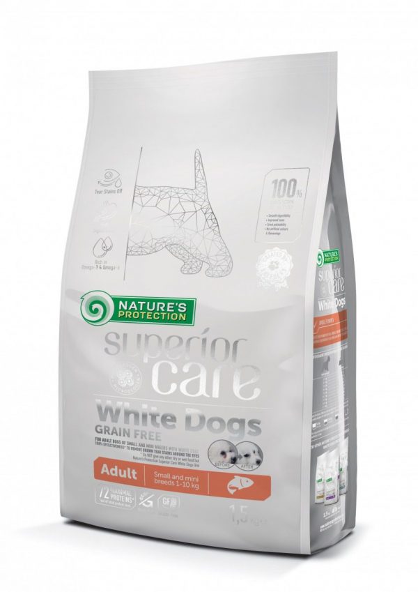 White_dog.jpg