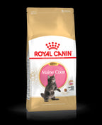 FBN KITTEN MAIN COON 4 KG.jpg