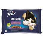 FELIX FANTASTIC FRG_AT_SALM_VCA 4x85 GR.jpg